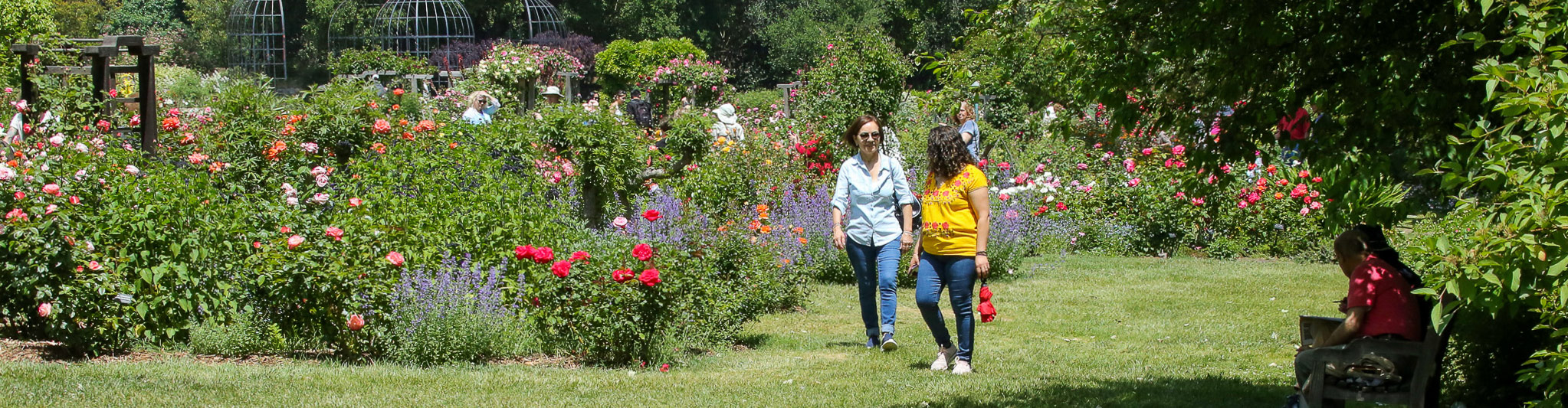 Here's the client giving a tour of the Garden. Check out our garden ma
