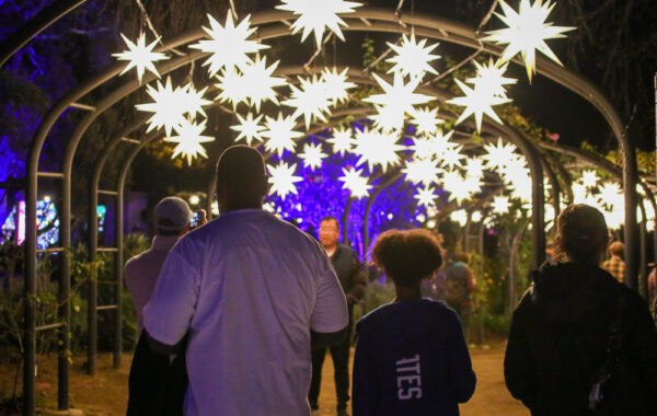 ❄🎄 Magical Light Show at Victoria Gardens