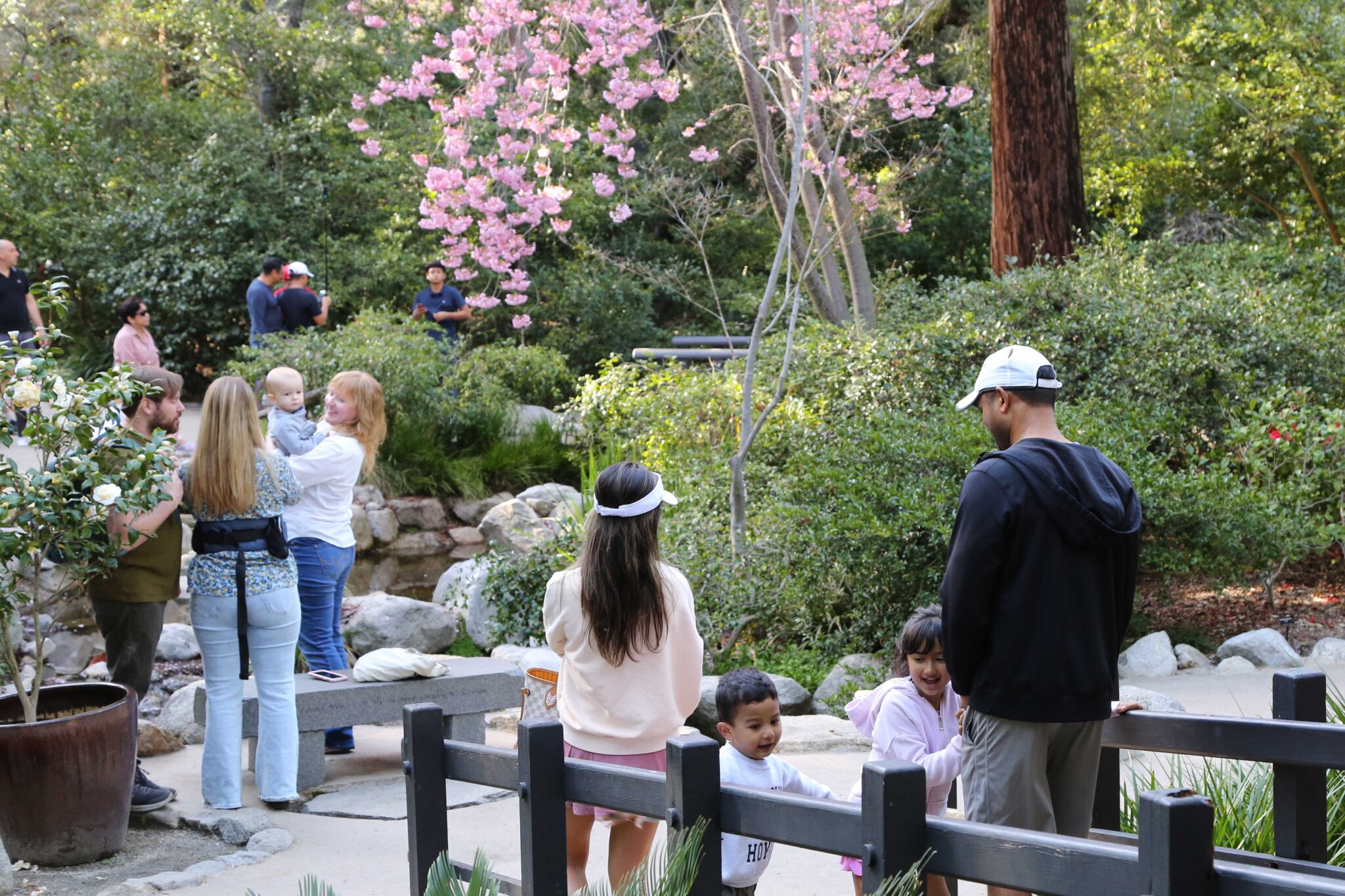 Member Appreciation Week Descanso Gardens